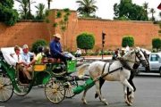 excursion marrakech