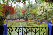 visite jardin majorelle